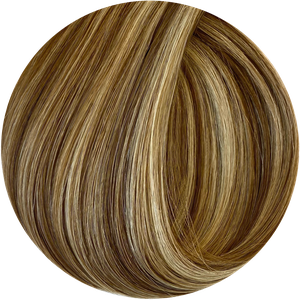 Bronde swatch