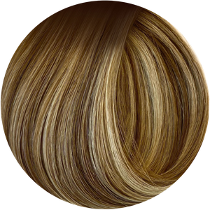Rooted Bronde swatch