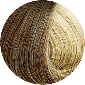 Snickerdoodle swatch